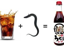 Ayam Goreng Rasa Kaki hingga Soda Rasa Belut Cuma Ada di Jepang