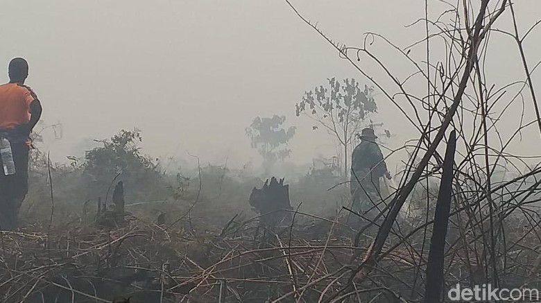 Video: Warga Rengat Bertahan Melawan Asap Karhutla Riau