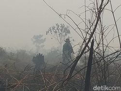 Tentang Lancang Kuning yang Bikin Pelaku Karhutla Pening