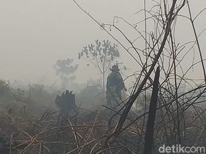 Tentang Lancang Kuning yang Bikin Pelaku Karhutla Pening