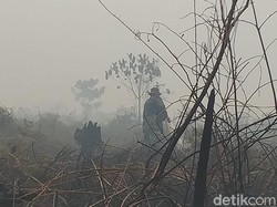 Karhutla di Riau, Api Dekati Kawasan Suaka Margasatwa