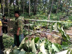 Cerita Warga Dengar Puluhan Pohon Milik Ponpes di Banyumas Ditebang OTK