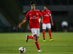 Diminati Banyak Klub, Joao Felix Nikmati Masa-masa di Benfica