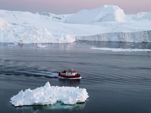Ini Bukti Kalau Antartika Dulunya Hutan