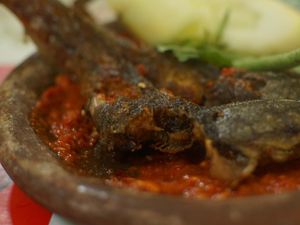 Nikmatnya Pecel Lele, Makanan Merakyat yang Gurih Renyah Nikmatnya Pecel Lele, Makanan Merakyat yang Gurih Renyah