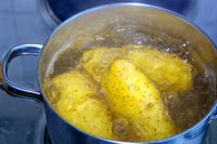 6 Makanan Sehat Bantu Sukseskan Diet Bunda