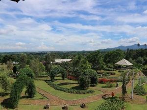 Celebrity on Vacation: Main ke Jembatan Elvis di Camp Hulu Cai Celebrity on Vacation: Main ke Jembatan Elvis di Camp Hulu Cai