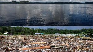 Before-After Banjir Bandang di Danau Sentani