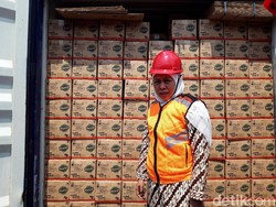 Produk Pertanian Jatim Rp 28 M Diekspor, Mulai Daun Kelor Hingga Sarang Walet