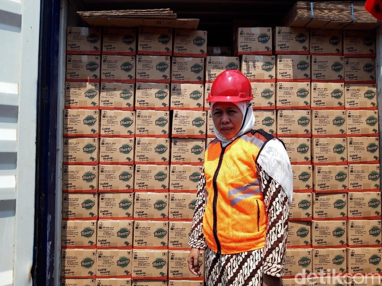 Produk Pertanian Jatim Rp 28 M Diekspor, Mulai Daun Kelor Hingga Sarang Walet Produk Pertanian Jatim Rp 28 M Diekspor, Mulai Daun Kelor Hingga Sarang Walet