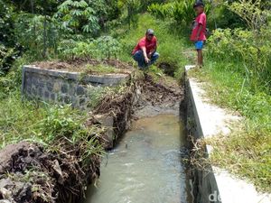 Limbah Pasir Tutup Saluran Irigasi, Petani Ponorogo Terancam Gagal Panen