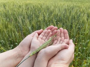 Ketegaran Seorang Bunda Saat Putranya Dinyatakan Down Syndrome Ketegaran Seorang Bunda Saat Putranya Dinyatakan Down Syndrome