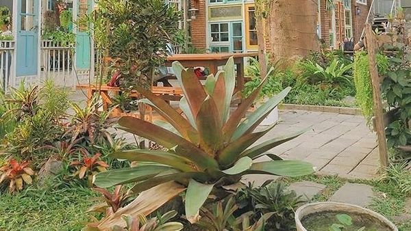 Mengintip Suasana Resto Thailand yang Instagramable di Surabaya