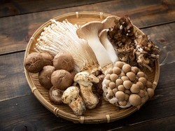 Tren Skincare 2020: Mengandung Magic Mushroom yang Dikenal Bikin Mabuk