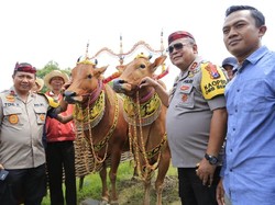 Cara Kapolda Jatim Sosialisasi Pemilu Damai Lewat Karapan Sapi