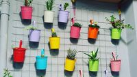 7 Tips Mempercantik Rumah dengan Kebun Vertikal yang Simpel