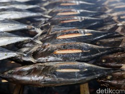 Mengenal Ikan Cakalang, Ikan yang Sering Dikira Sama dengan Ikan Tongkol