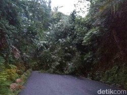 Hujan Deras, Longsor di Banjarnegara Tutup Sejumlah Akses Jalan