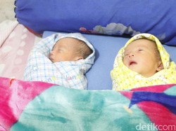 Nazar Hengky Jika 02 Menang: Kuliahkan Bayi Kembar Prabowo-Sandiaga