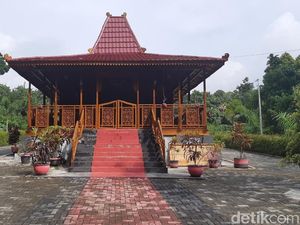 Ada Gelar Adat dan Rumah untuk Jokowi di Hutan Karet Belanda