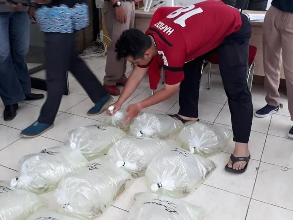 Bea Cukai Gagalkan Penyelundupan Bibit Arwana ke Malaysia Bea Cukai Gagalkan Penyelundupan Bibit Arwana ke Malaysia