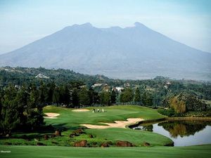 Niat Cari Bola Golf yang Hilang, eh Malah Tenggelam di dalam Kolam Niat Cari Bola Golf yang Hilang, eh Malah Tenggelam di dalam Kolam