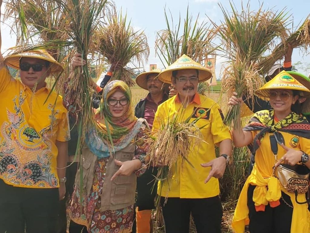 Happy Banget Nih! Mayangsari Turun ke Sawah Bareng Keluarga Cendana Happy Banget Nih! Mayangsari Turun ke Sawah Bareng Keluarga Cendana