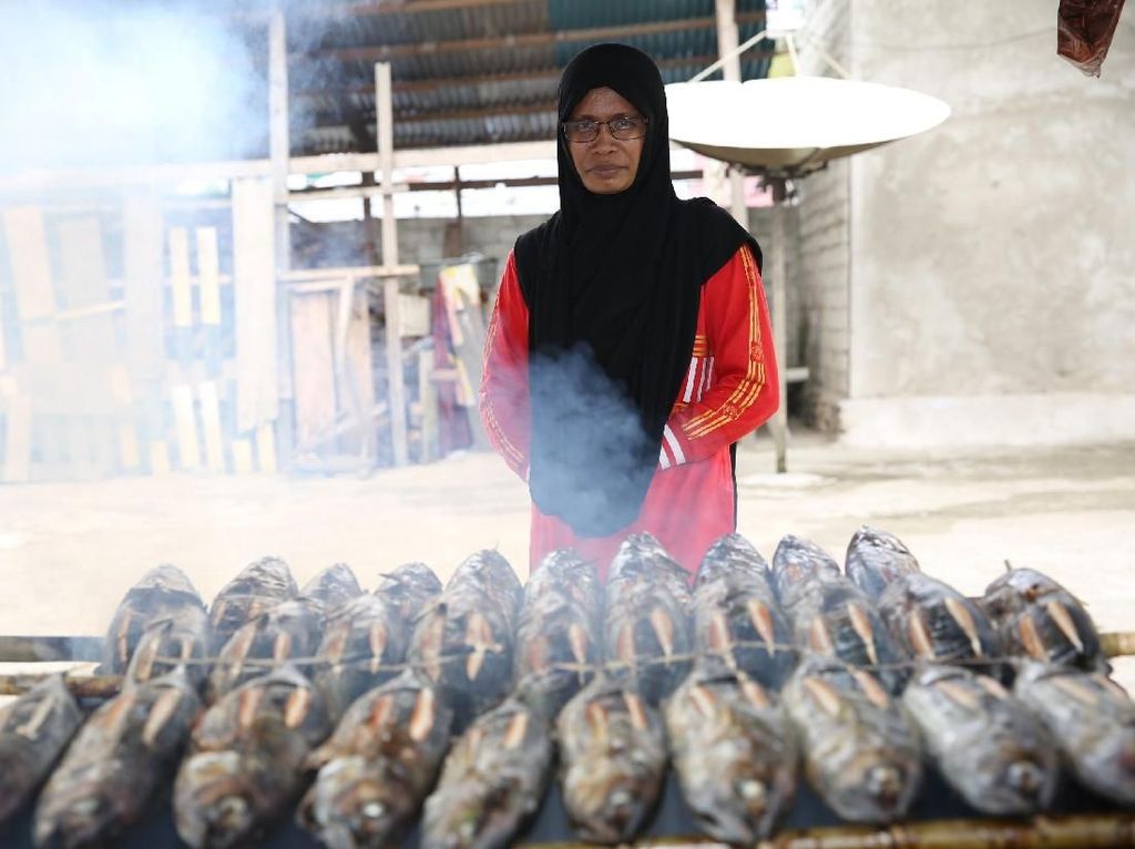 Ini Ikan Fufu Favorit Pejabat Bacan yang Datangkan Untung Jutaan Ini Ikan Fufu Favorit Pejabat Bacan yang Datangkan Untung Jutaan
