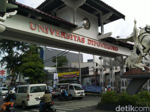 Daftar Prodi Soshum UNDIP, Daya Tampung SBMPTN 2022, dan Tingkat Persaingannya Daftar Prodi Soshum UNDIP, Daya Tampung SBMPTN 2022, dan Tingkat Persaingannya