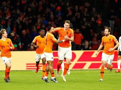 Kala Singa Oranye Kehilangan Taring