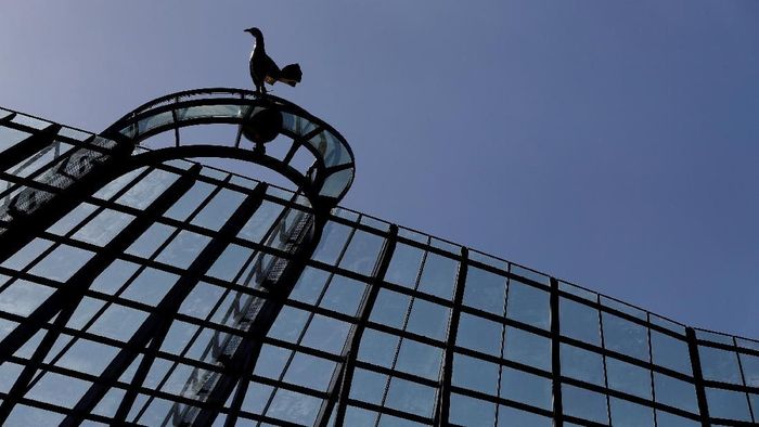 Tottenham Hotspur harus menunggu setahun lebih untuk mendiami stadion barunya tersebut setelah direnovasi. Logo ayam jantan berdiri tegak di atas atap stadion. (REUTERS)