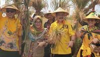 Wajah Happy Mayangsari saat Turun ke Sawah