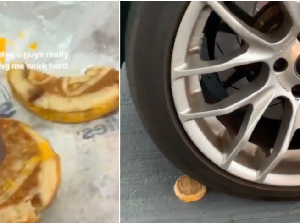 Saking Kerasnya, Pria Ini Lindas Sandwich Beku Pakai Mobil!