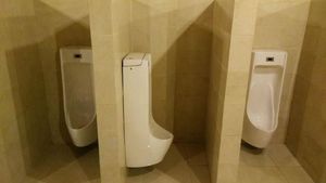 Ini Toilet Paling Ngaco Sejagad Raya