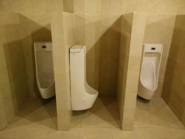 Ini Toilet Paling Ngaco Sejagad Raya