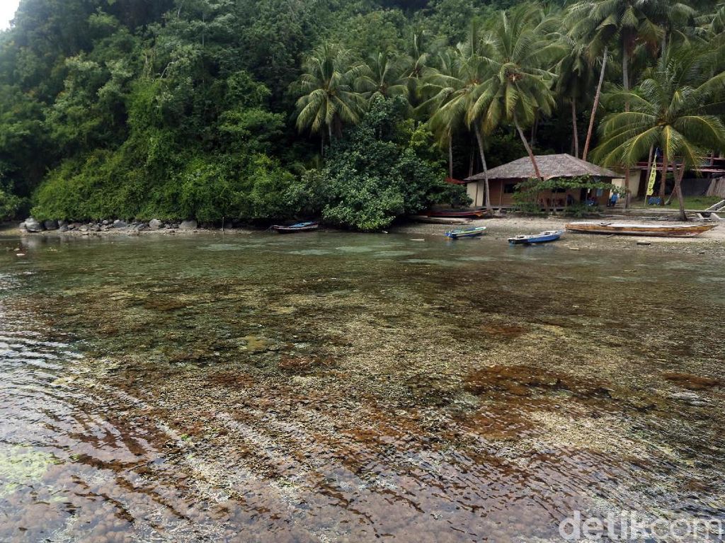 Bom Ikan Perusak Laut Halmahera Selatan Bikin Investor Asing Kesal