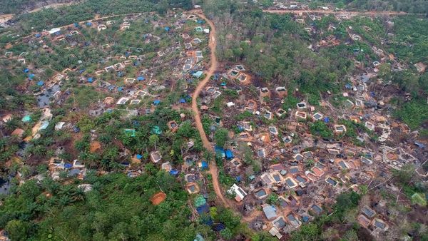 Duh, Hutan di Jambi Beralih Fungsi Jadi Pengeboran Minyak Ilegal