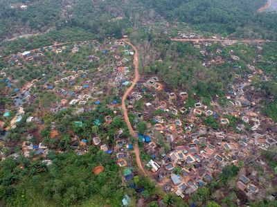 Duh, Hutan di Jambi Beralih Fungsi Jadi Pengeboran Minyak Ilegal