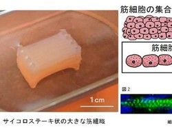 Potongan Daging Buatan Lab Berhasil Dibuat Mirip Tekstur Sapi Asli