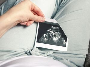 Perkembangan Janin di Minggu ke-13 Sampai ke-16