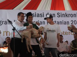 Bagikan Kambing, Mentan Ajak Petani Bersatu Lawan Fitnah Pada Presiden