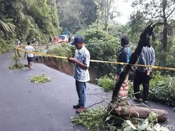 Akses Jalan Menuju Bromo Melewati Malang Longsor