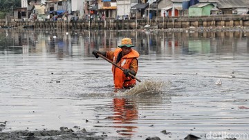 Viral Kali Gendong di Jakut Dipenuhi Sampah, DLH DKI Ungkap Kendala Penanganan