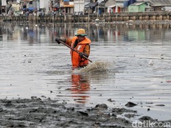 Viral Kali Gendong di Jakut Dipenuhi Sampah, DLH DKI Ungkap Kendala Penanganan