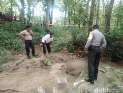 Mayat Perempuan Ditemukan Membusuk di Hutan Lamongan