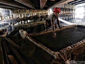 Melihat Lebih Dekat Kehidupan Pencari Cacing Sutra di Jakut Melihat Lebih Dekat Kehidupan Pencari Cacing Sutra di Jakut