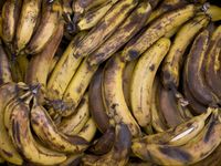 Jangan Dibuang! Pisang yang Terlalu Masak Ternyata Punya 5