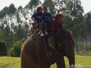 Liburan Bersama Keluarga di Pattaya, Kunjungi Taman Rekreasi Ini