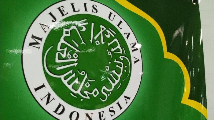 Logo MUI