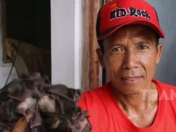 Kenalin Nih, Slamet Si Pembasmi Kelelawar dari Purworejo
